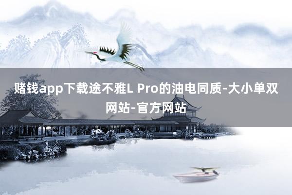 赌钱app下载途不雅L Pro的油电同质-大小单双网站-官方网站