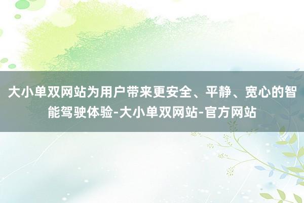 大小单双网站为用户带来更安全、平静、宽心的智能驾驶体验-大小