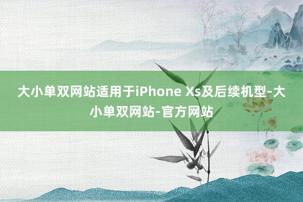 大小单双网站适用于iPhone Xs及后续机型-大小单双网站